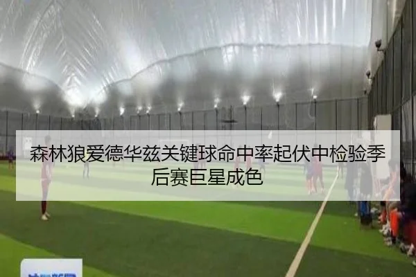 森林狼爱德华兹关键球命中率起伏中检验季后赛巨星成色