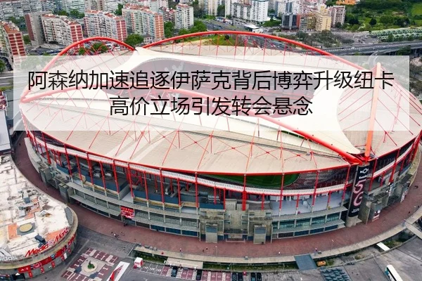 阿森纳加速追逐伊萨克背后博弈升级纽卡高价立场引发转会悬念 - kaiyun